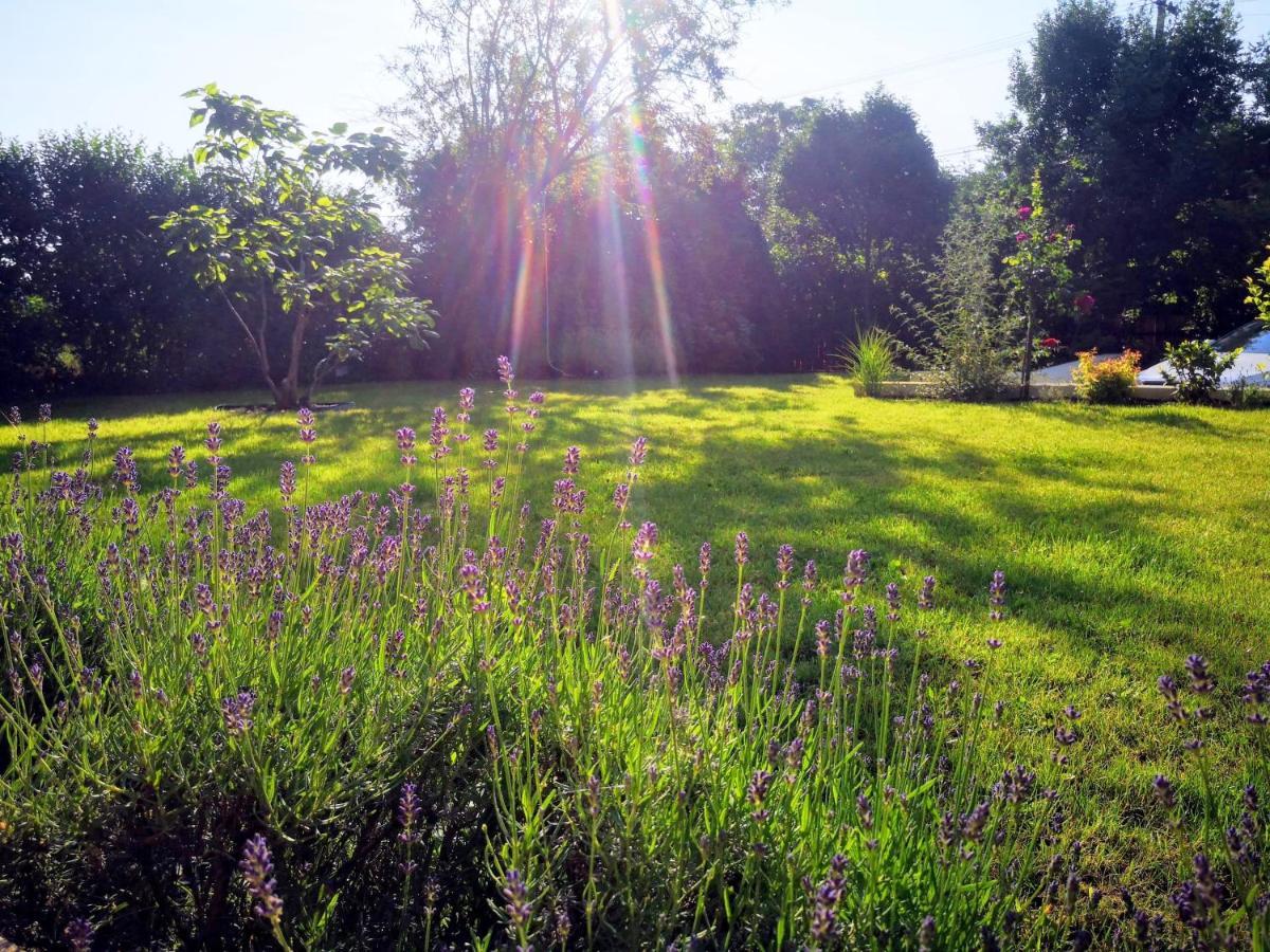 Hello Balaton Apartment อัลโชเอิร์ช ภายนอก รูปภาพ